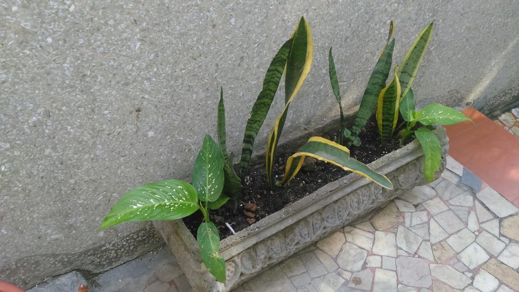 Recanto De Alegrias Em Sao Cristovao Ostello Rio de Janeiro